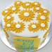 Flower - Daisy Cake (D,V)